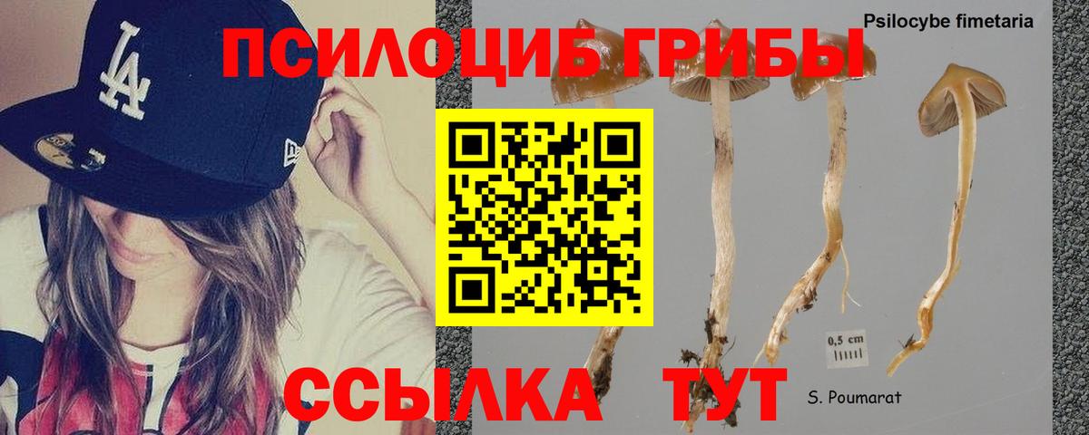 Псилоцибиновые грибы Psilocybine cubensis  Вход с VPN  Тамбов  Псилоцибиновые грибы GOLDEN TEACHER 